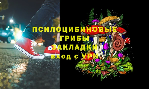 твердый Алексеевка