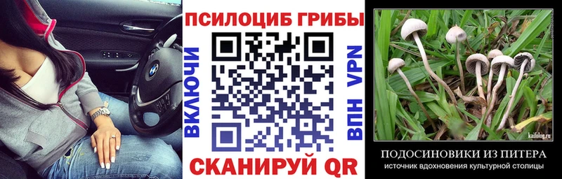 Галлюциногенные грибы MAGIC MUSHROOMS Злынка